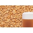 Ячменный солод "BEST MALZ - Caramel Aromatic", 1 кг
