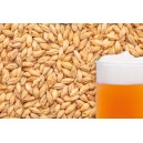 Ячменный солод "BEST MALZ - Pale Ale", 1 кг