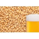 Ячменный солод "BEST MALZ - Pilsener", 1 кг