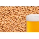Пшеничный солод "BEST MALZ Wheat" 1 кг