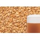 Miežu iesals "BEST MALZ - Caramel Aromatic", 25 kg
